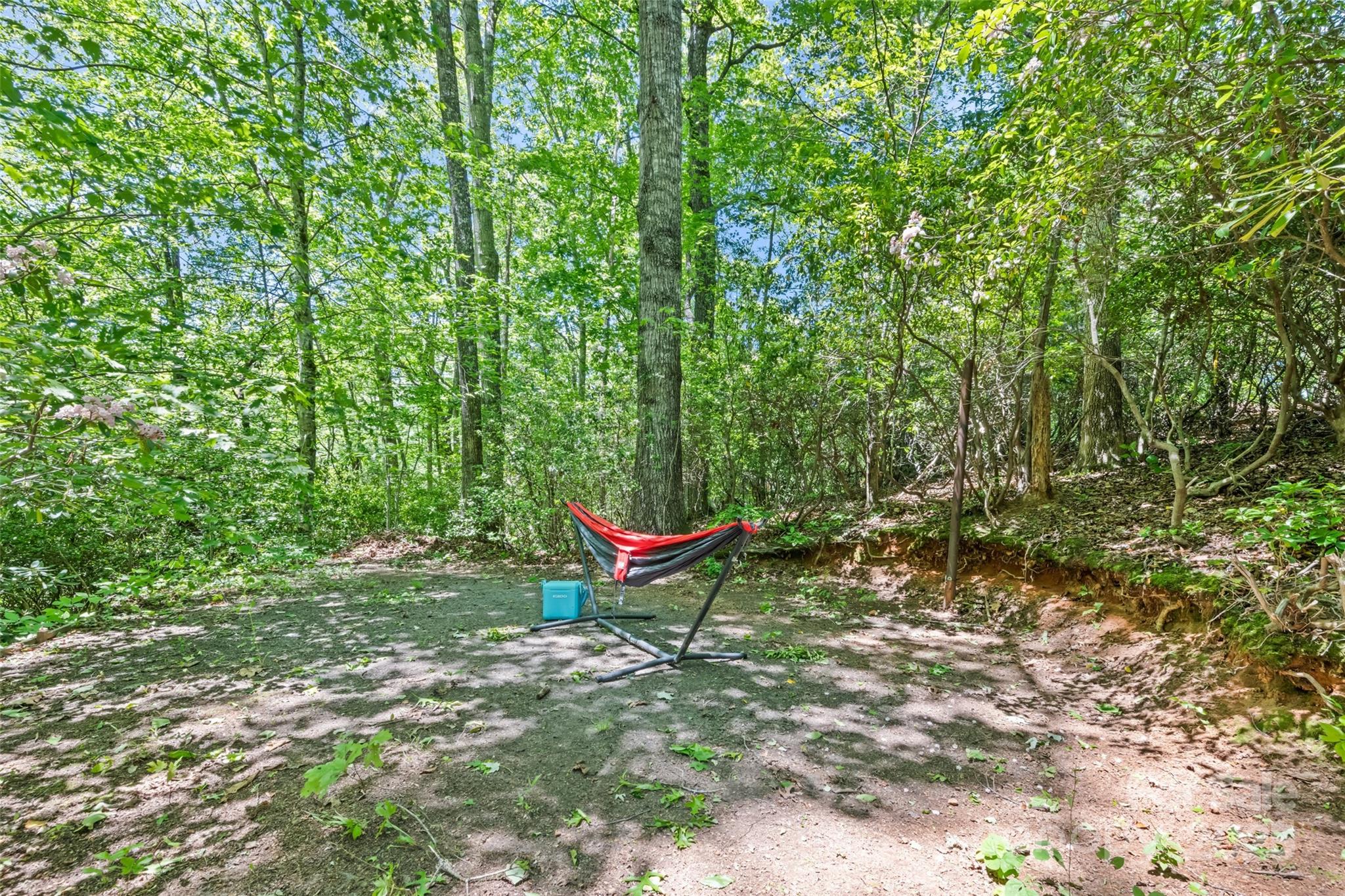 823 Turtle Creek Road Sylva, NC 28779 - Photo 32 of 38 a view of a small yard