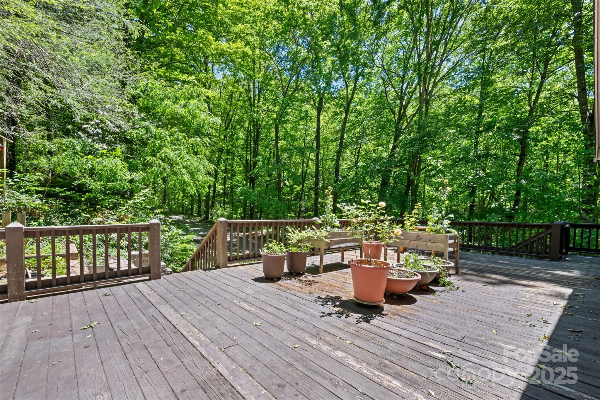 823 Turtle Creek Road Sylva, NC 28779 - Photo 6 of 38 a outdoor view with a sitting space