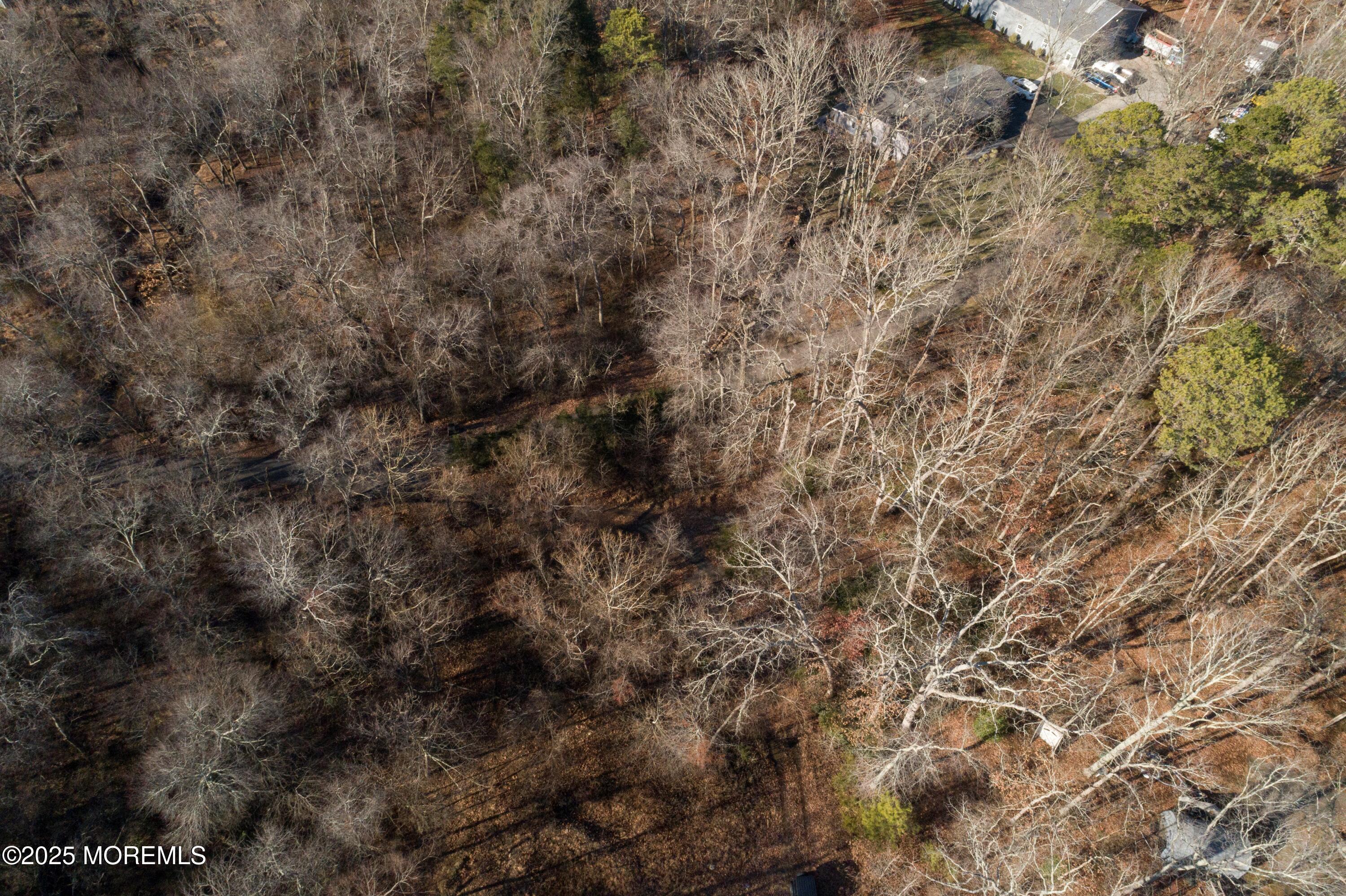 0 Blue Trl Road Howell, NJ 07731 - Photo 4 of 6 DJI_0010