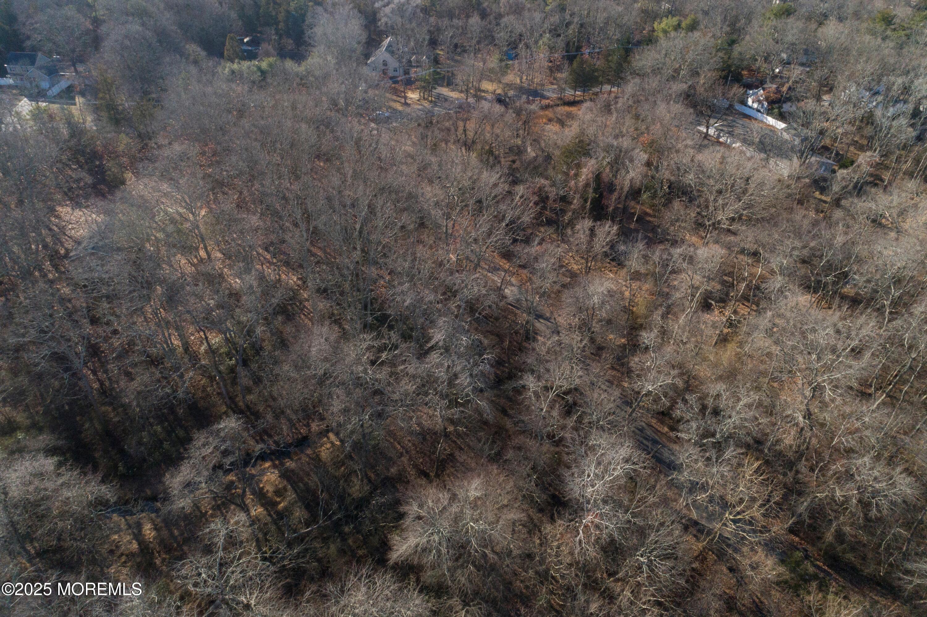 0 Blue Trl Road Howell, NJ 07731 - Photo 5 of 6 DJI_0014
