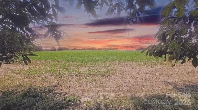 a view of a yard with a house
