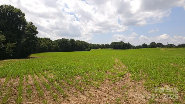 a view of a field with an ocean