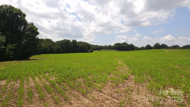 a view of a field with an ocean
