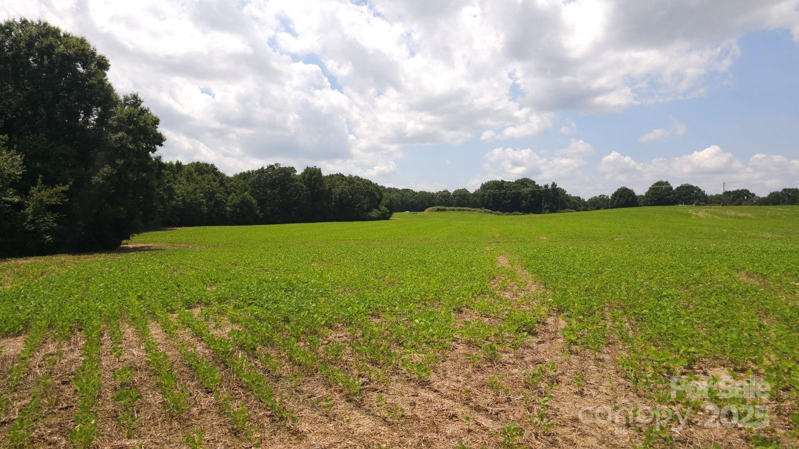 Tbd Traywick Road Peachland, NC 28133 - Photo 3 of 5 a view of a field with an ocean