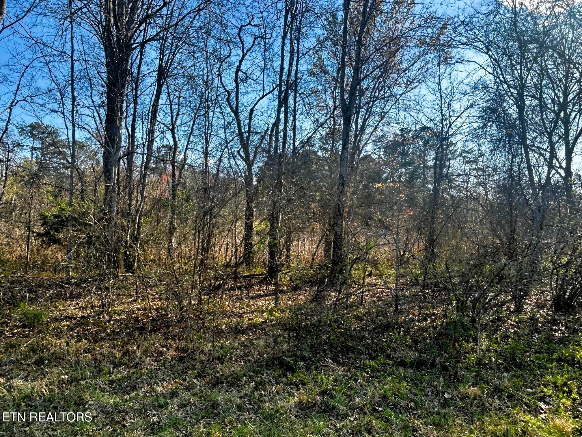 Lot 3 Lamontville Road Decatur, TN 37322 - Photo 11 of 26 lamontville waterfront 2