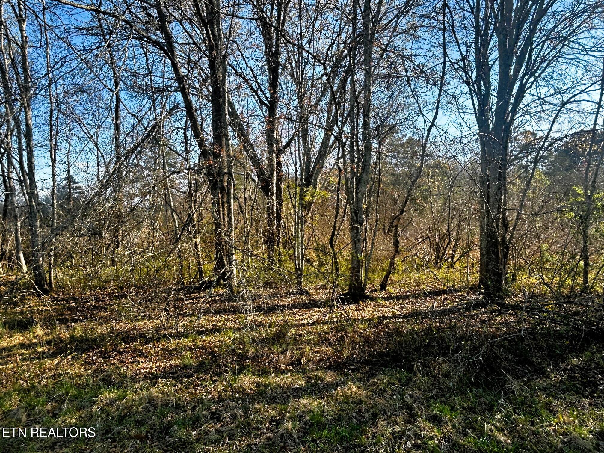 Lot 3 Lamontville Road Decatur, TN 37322 - Photo 12 of 26 Lamontville wooded