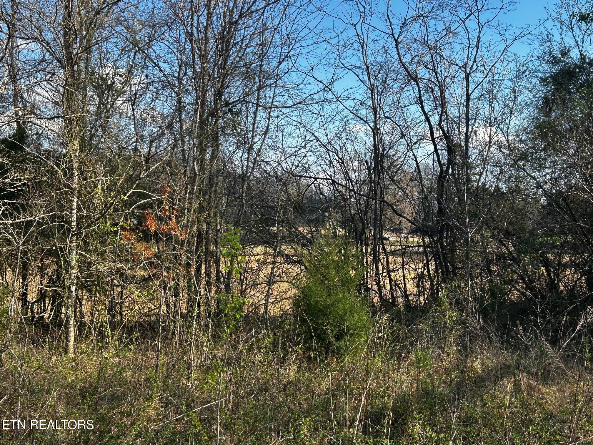 Lot 3 Lamontville Road Decatur, TN 37322 - Photo 13 of 26 Lamontville waterfront