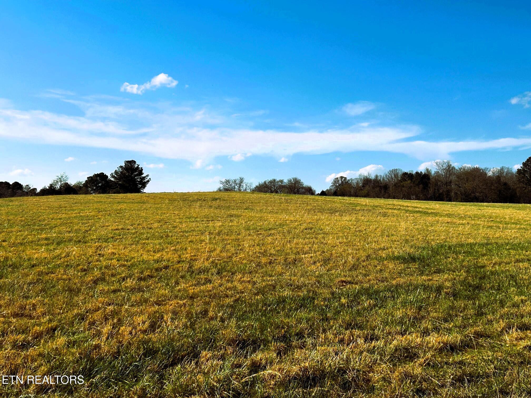 Lot 3 Lamontville Road Decatur, TN 37322 - Photo 14 of 26 Lamontville 3 homesite 1