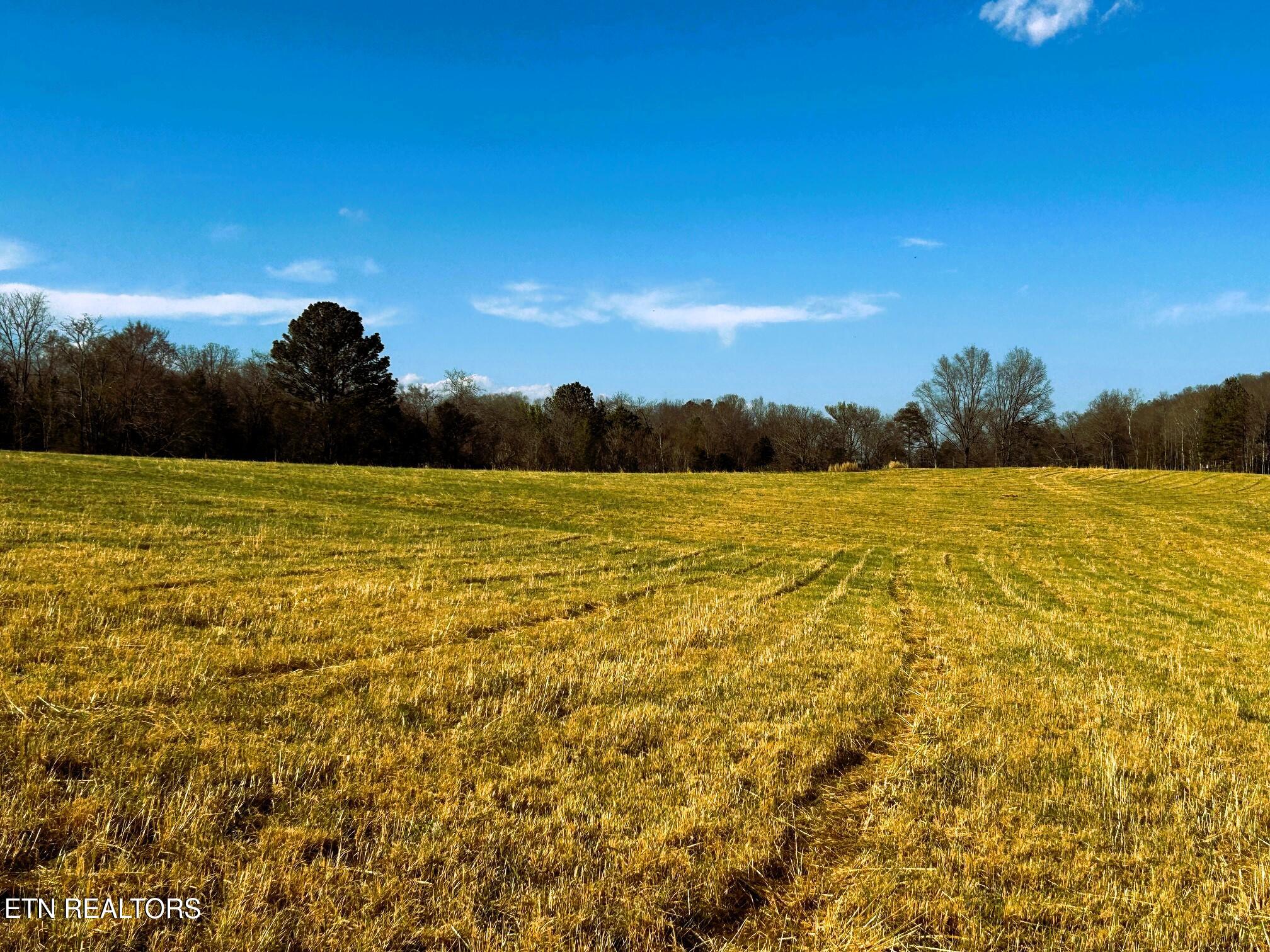 Lot 3 Lamontville Road Decatur, TN 37322 - Photo 15 of 26 Lamontville 3