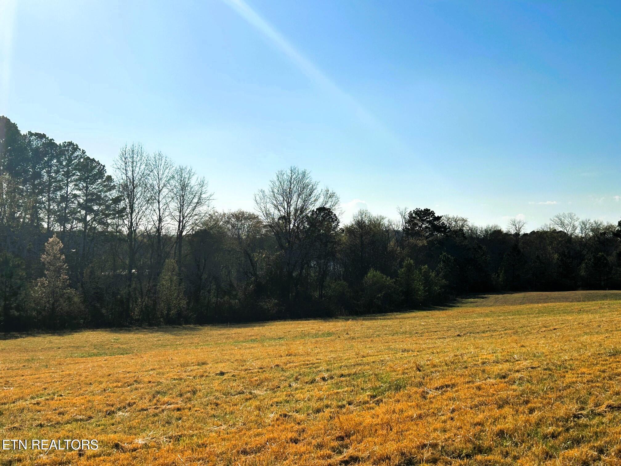 Lot 3 Lamontville Road Decatur, TN 37322 - Photo 16 of 26 Lamontville 3 waterfront