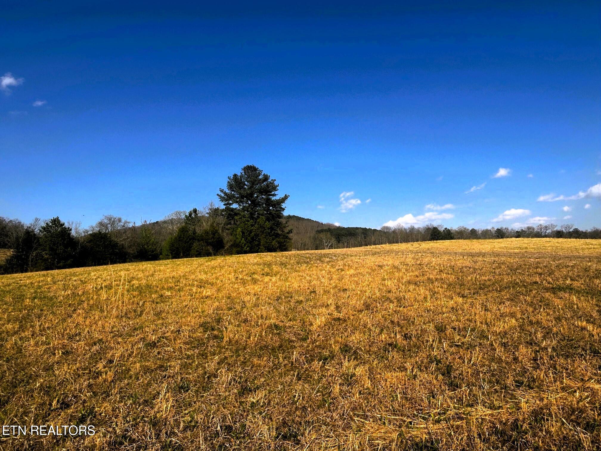 Lot 3 Lamontville Road Decatur, TN 37322 - Photo 17 of 26 Lamontville 3 homesite