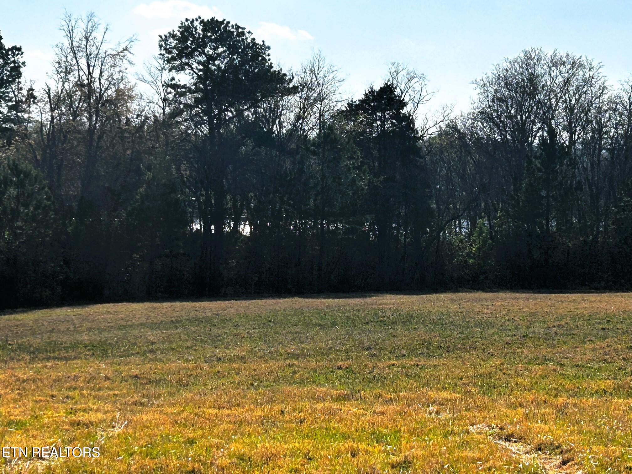 Lot 3 Lamontville Road Decatur, TN 37322 - Photo 18 of 26 Lamontville 3 back water views