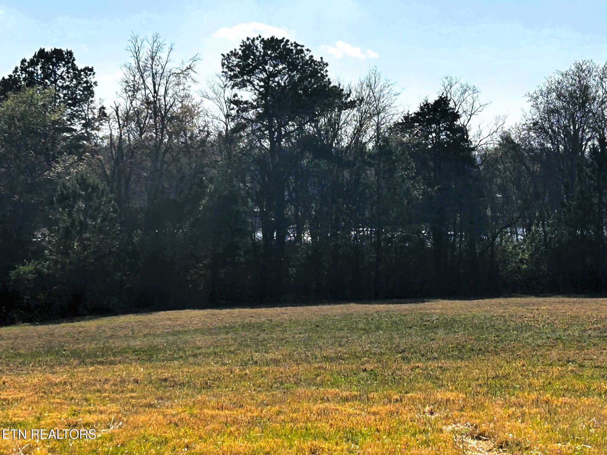 Lot 3 Lamontville Road Decatur, TN 37322 - Photo 19 of 26 Lamontville 3 water views main