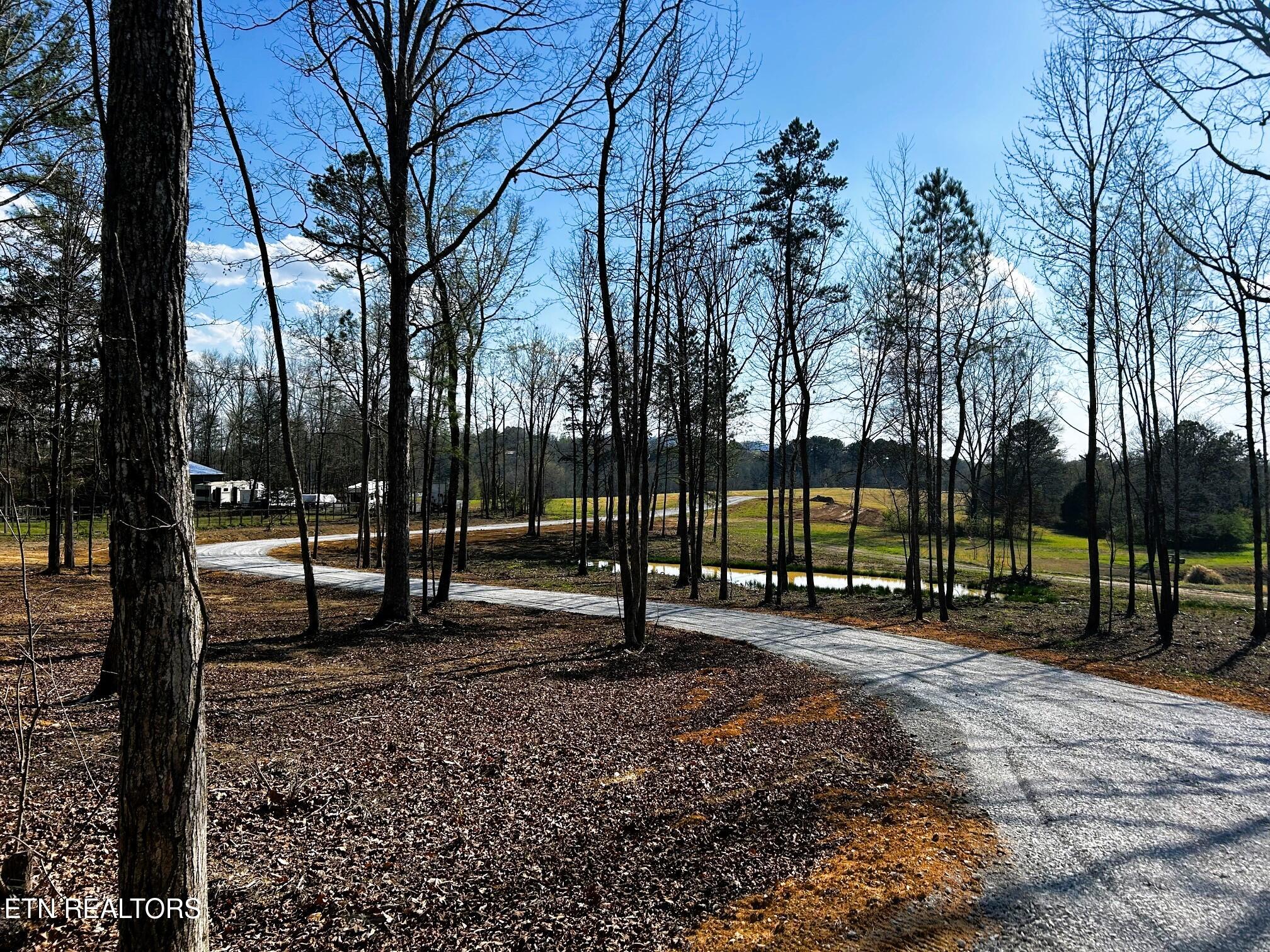Lot 3 Lamontville Road Decatur, TN 37322 - Photo 22 of 26 lamontville driveway in