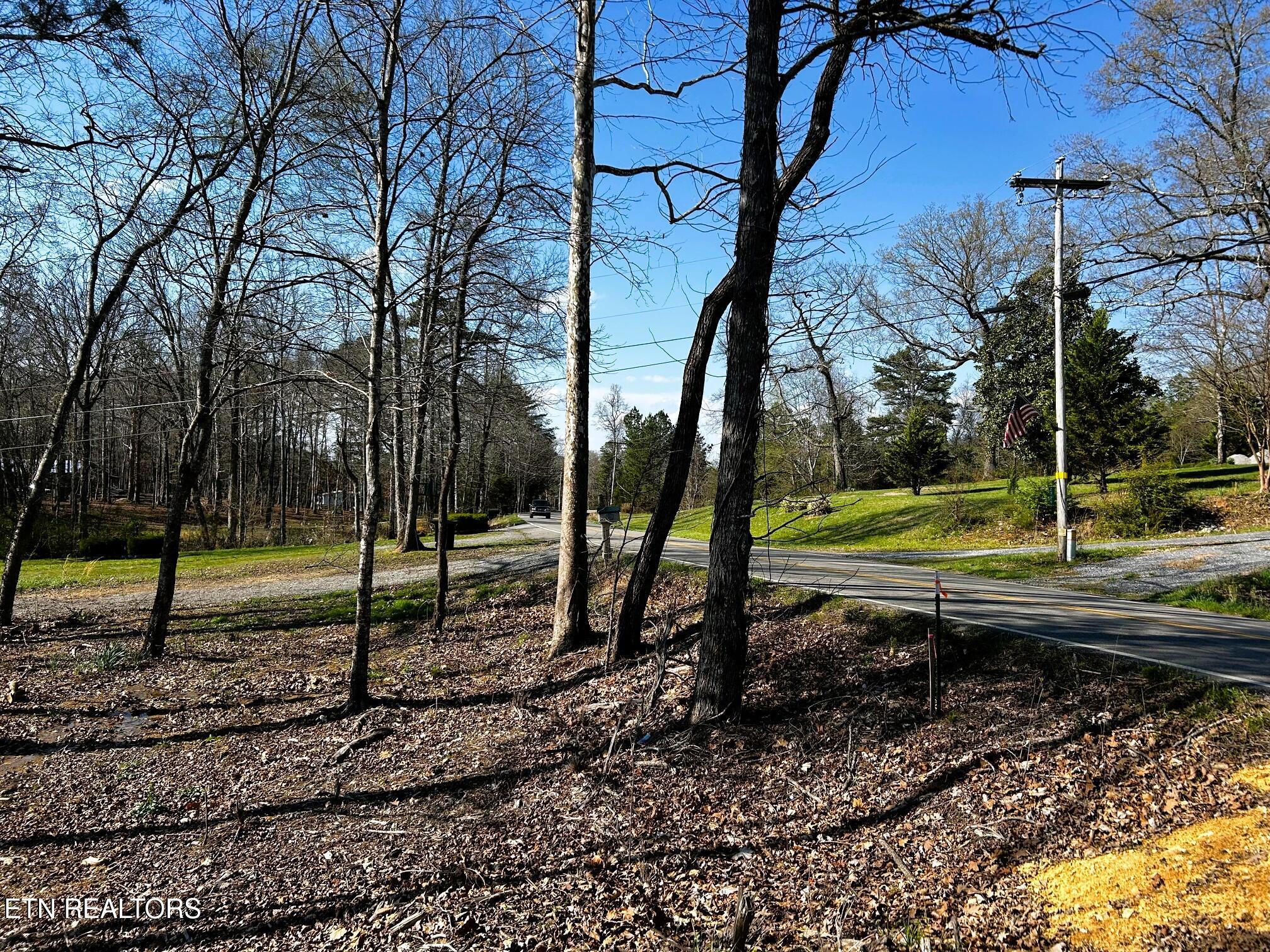 Lot 3 Lamontville Road Decatur, TN 37322 - Photo 24 of 26 Lamontville Roadfront 1