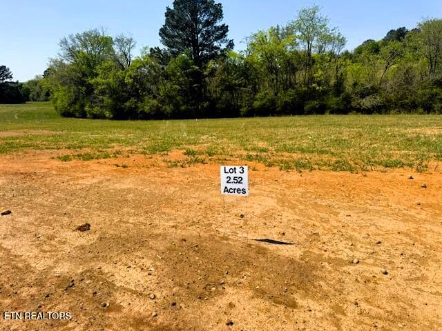 Lot 3 Lamontville Road Decatur, TN 37322 - Photo 3 of 26 Tract 3 Lamontville main