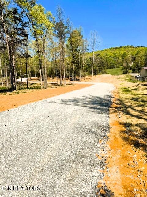 Lot 3 Lamontville Road Decatur, TN 37322 - Photo 4 of 26 Lamontville driveway 2