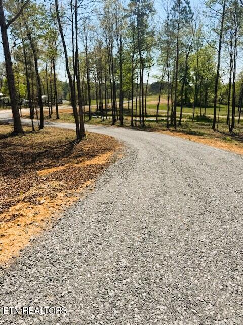 Lot 3 Lamontville Road Decatur, TN 37322 - Photo 5 of 26 Lamontville driveway 1