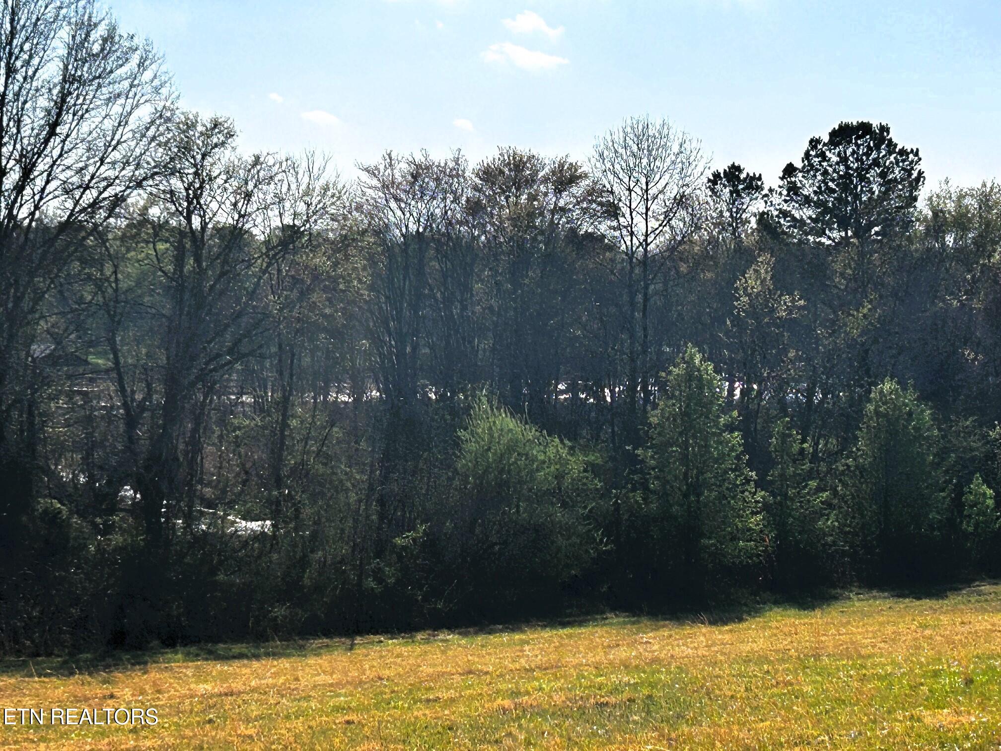 Lot 3 Lamontville Road Decatur, TN 37322 - Photo 9 of 26 Lamontville 3 water views from homesite
