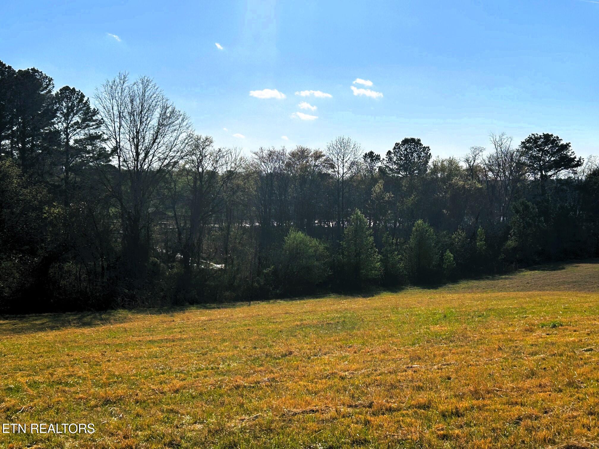 Lot 3 Lamontville Road Decatur, TN 37322 - Photo 10 of 26 lamontville 3 water views from homesite