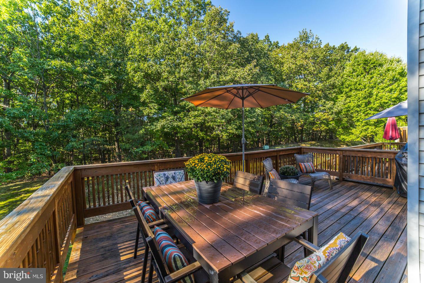 5724 Ridge View Drive Alexandria, VA 22310 - Photo 22 of 25 Exterior (Rear)