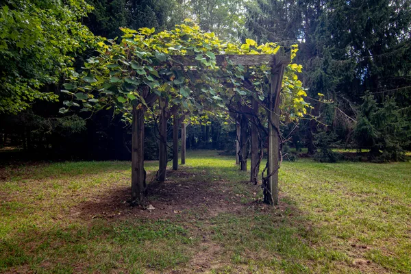 $599,900 | 1442 West Tyler Road, Hart, MI 49420