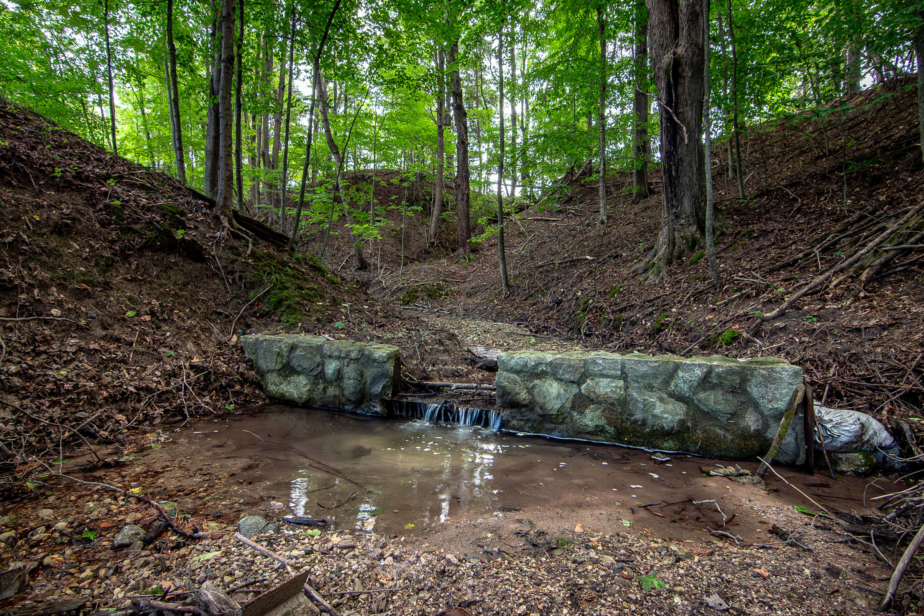 1442 West Tyler Road Hart, MI 49420 - Photo 47 of 71 DSC_3353