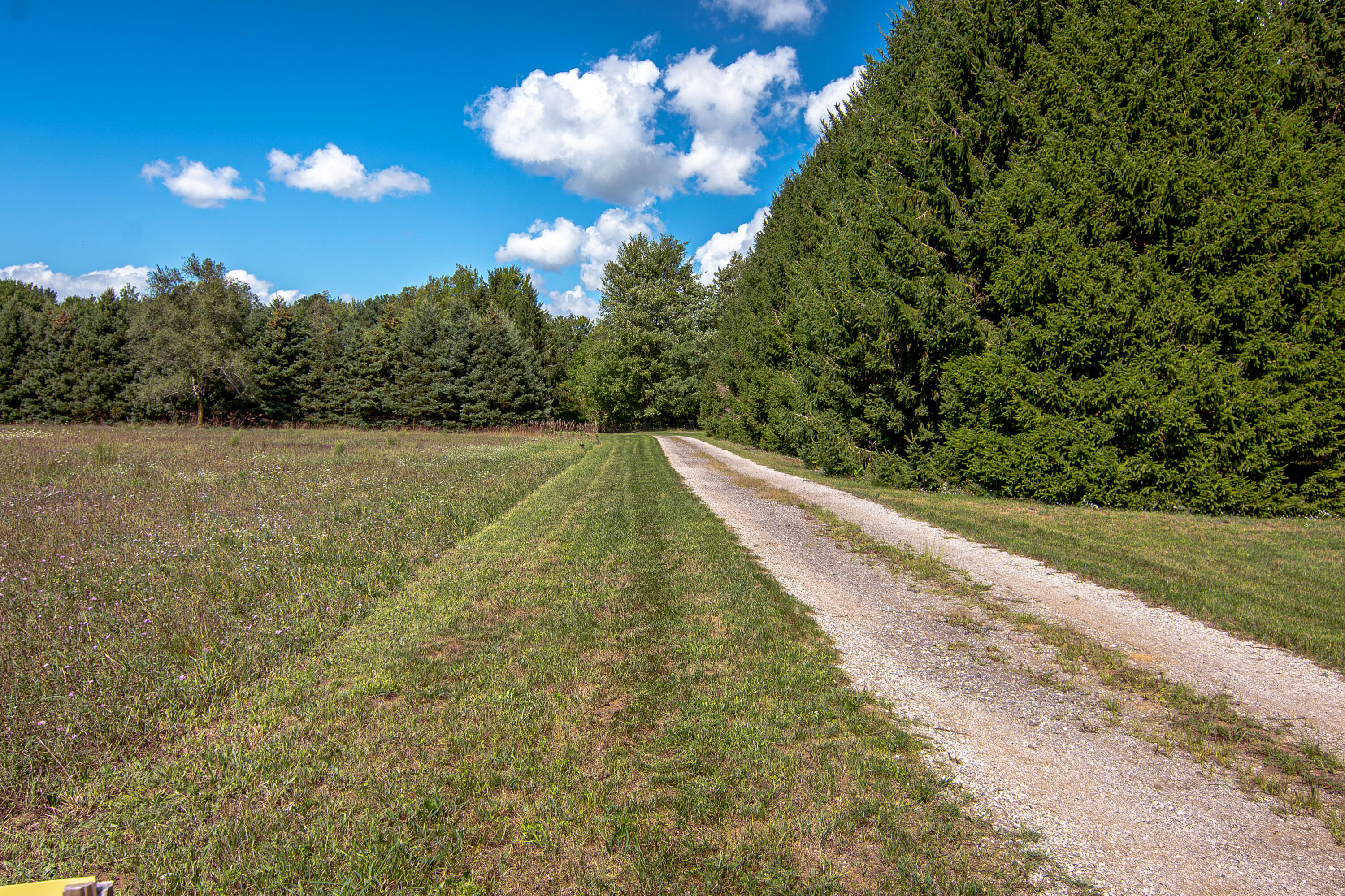 1442 West Tyler Road Hart, MI 49420 - Photo 5 of 71 DSC_3397