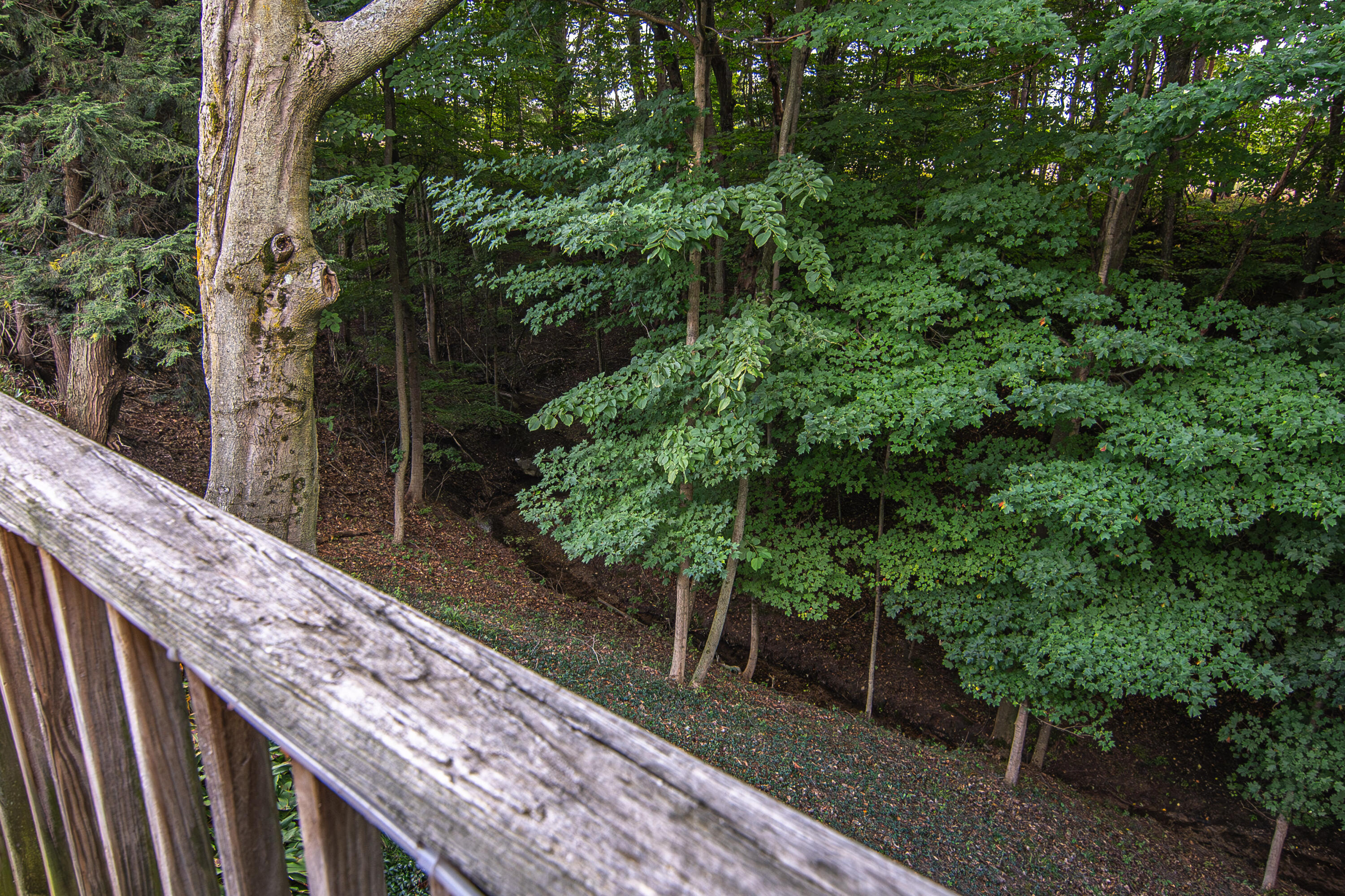 1442 West Tyler Road Hart, MI 49420 - Photo 68 of 71 DSC_3321