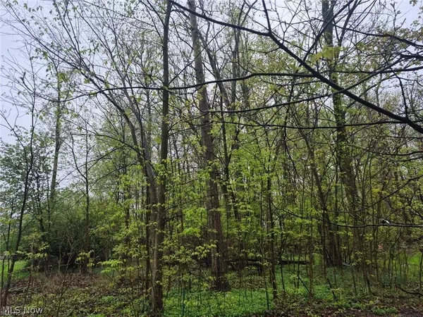 $24,700 | Vl Smith Street, Oberlin, OH 44074
