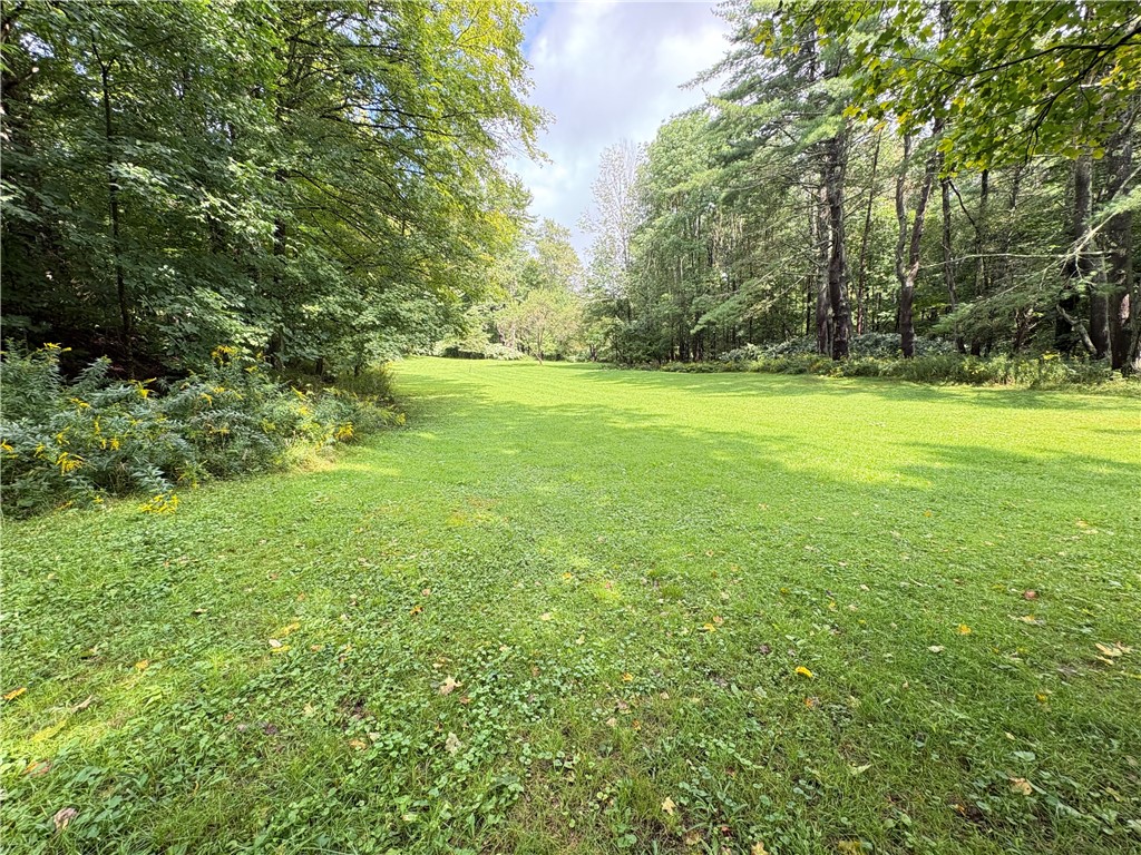 157 Howe Lane Afton, NY 13730 - Photo 5 of 40 Gallery Image 5