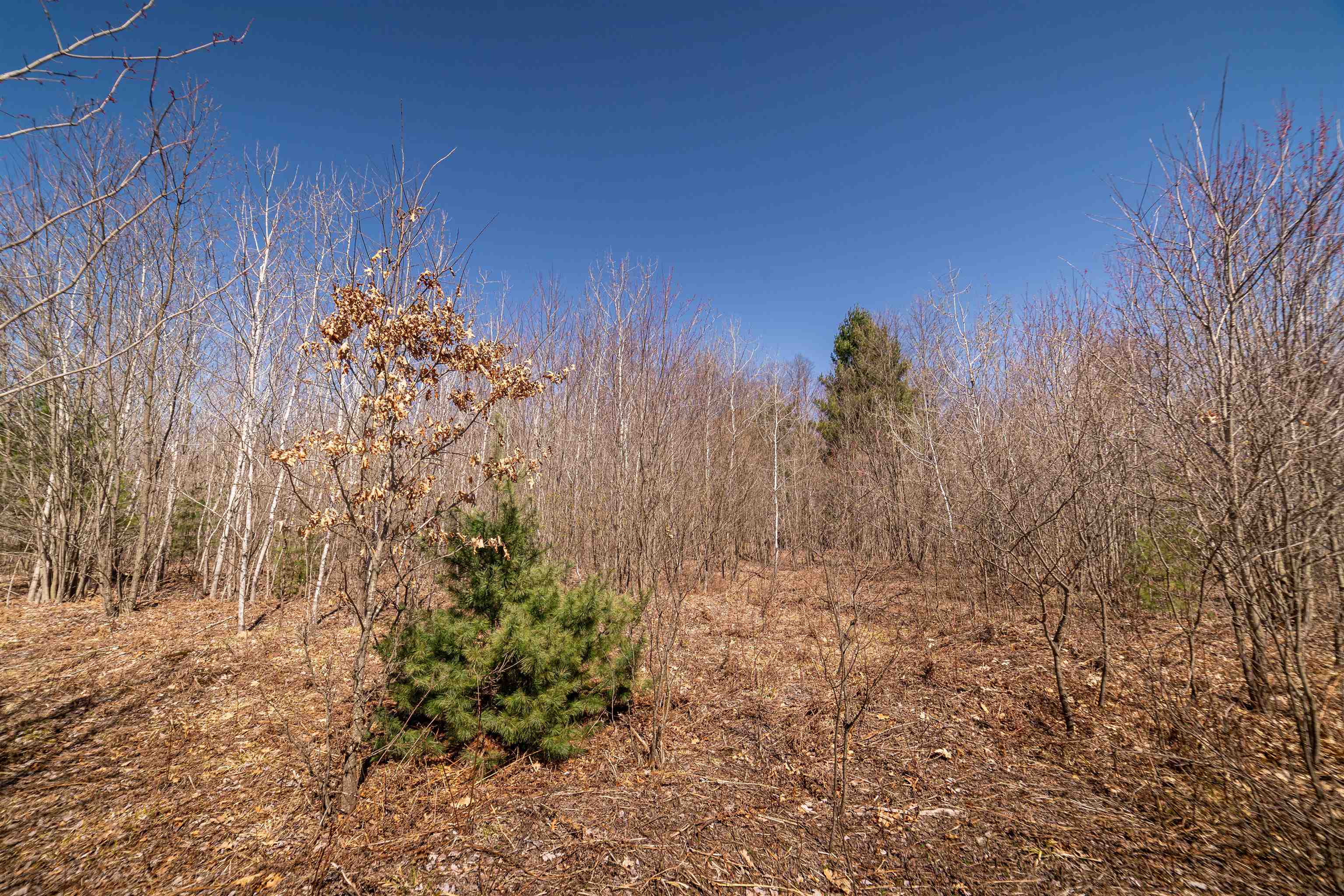 Hulkonen Road Kaleva, MI 49645 - Photo 9 of 19
