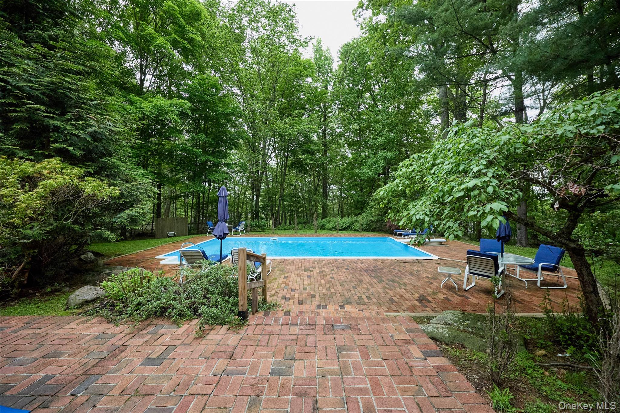 31 Greenlawn Road Katonah, NY 10536 - Photo 37 of 47 Outdoor pool with a patio area