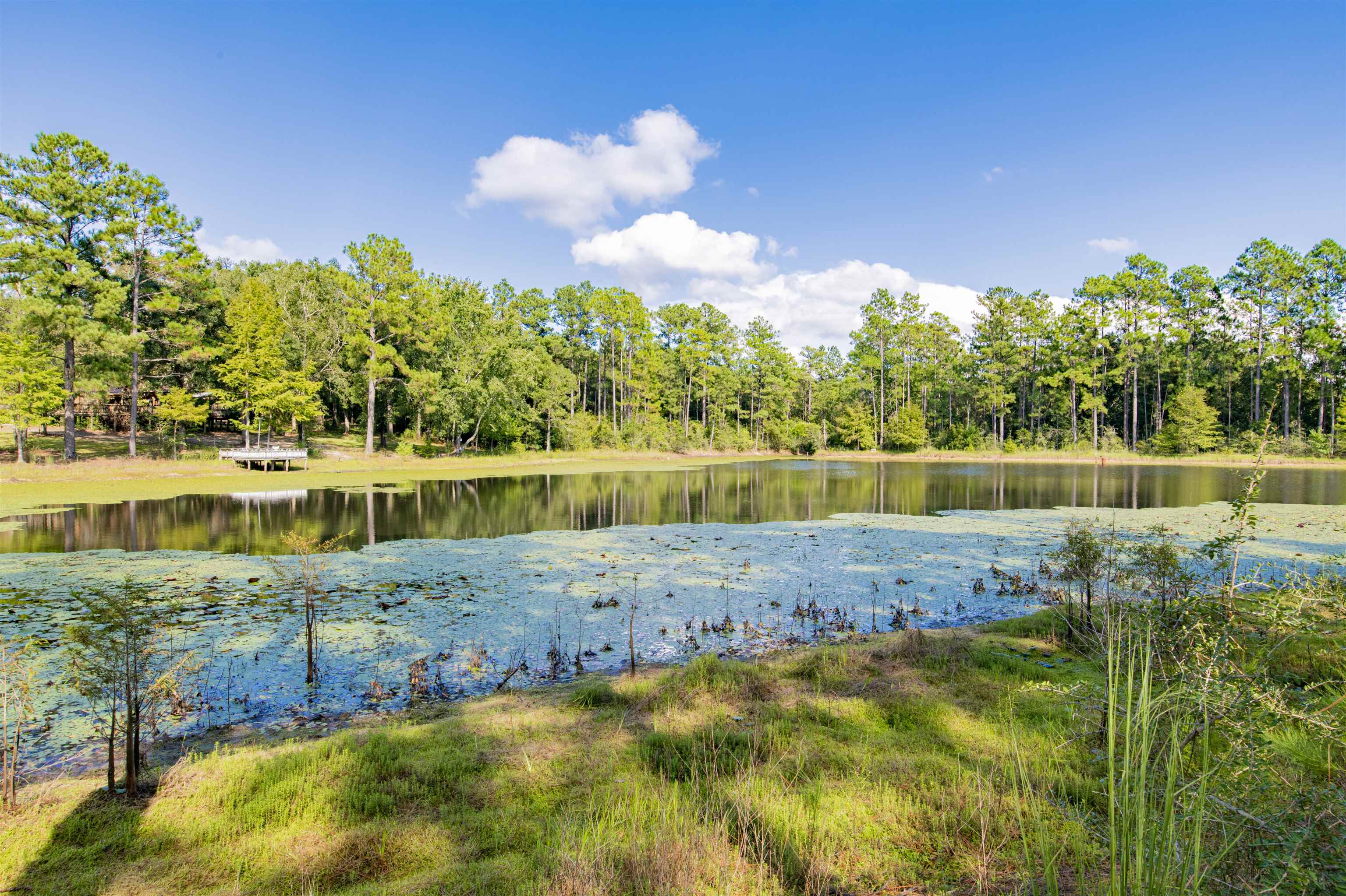 40680 Dogwood Fork Road Bay Minette, AL 36507 - Photo 13 of 41