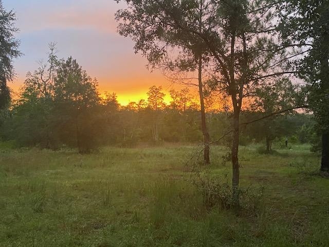 3101 Southwest Hike Lake Road Madison, FL 32340 - Photo 15 of 39 Gallery Image 15
