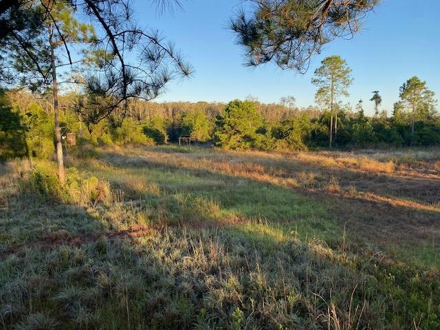 3101 Southwest Hike Lake Road Madison, FL 32340 - Photo 19 of 39 Gallery Image 19