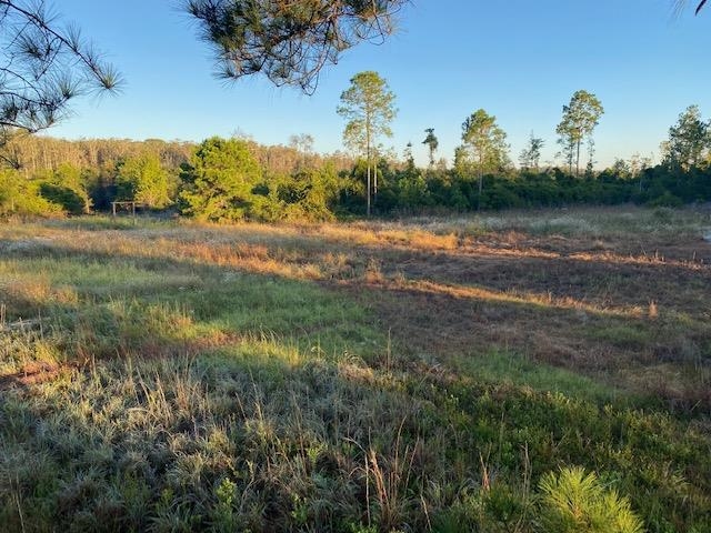 3101 Southwest Hike Lake Road Madison, FL 32340 - Photo 20 of 39 Gallery Image 20