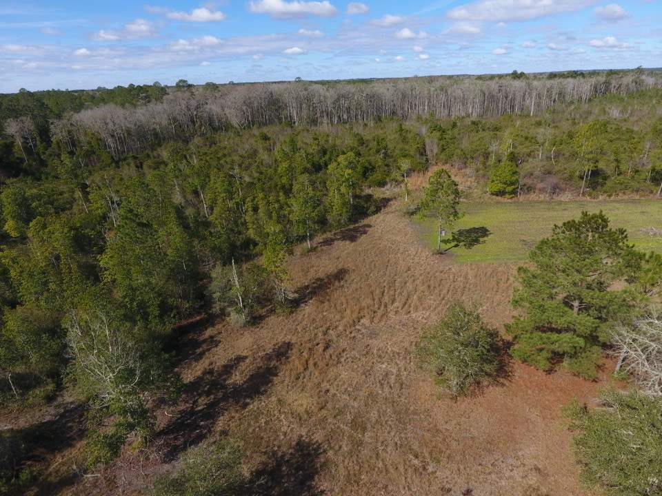 3101 Southwest Hike Lake Road Madison, FL 32340 - Photo 2 of 39 Gallery Image 2