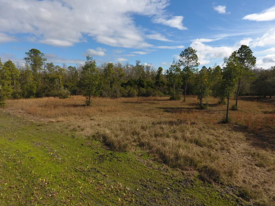 3101 Southwest Hike Lake Road Madison, FL 32340 - Photo 21 of 39 Gallery Image 21
