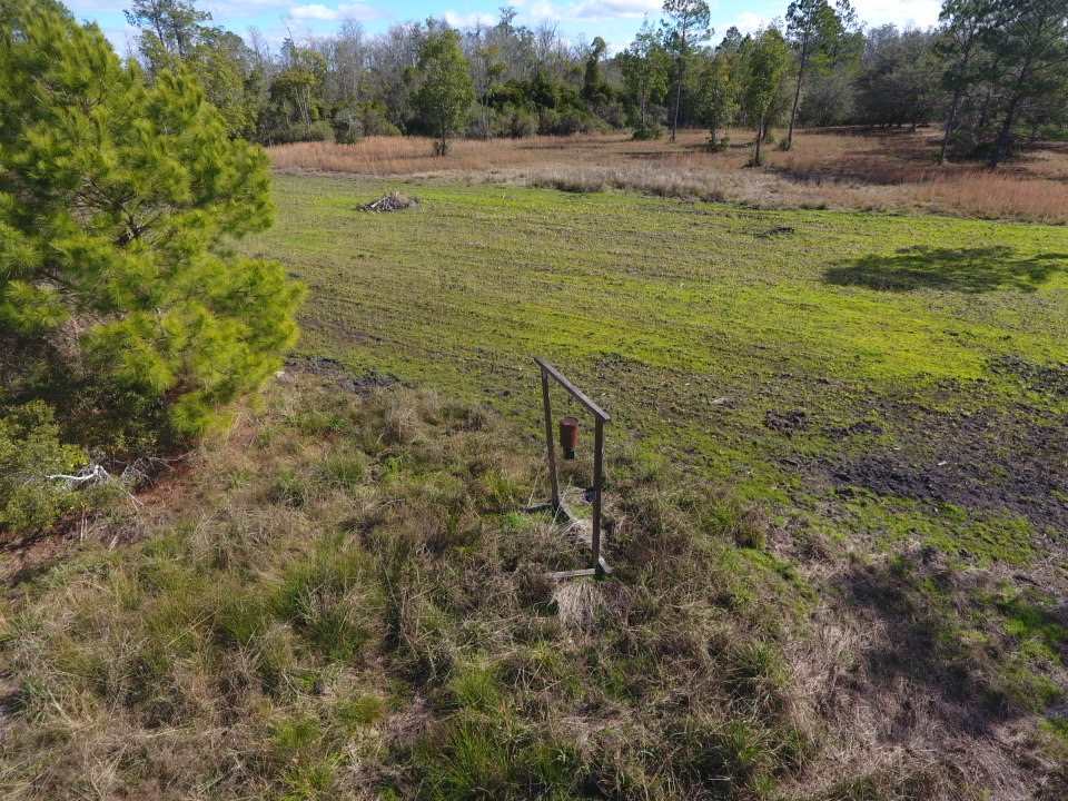 3101 Southwest Hike Lake Road Madison, FL 32340 - Photo 22 of 39 Gallery Image 22
