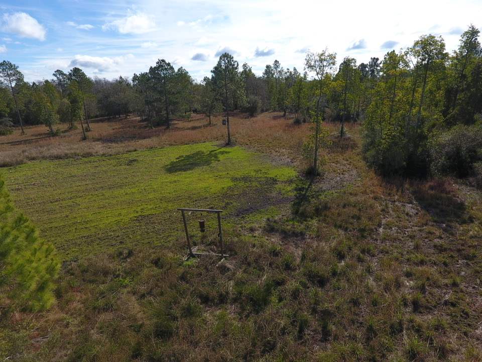 3101 Southwest Hike Lake Road Madison, FL 32340 - Photo 23 of 39 Gallery Image 23