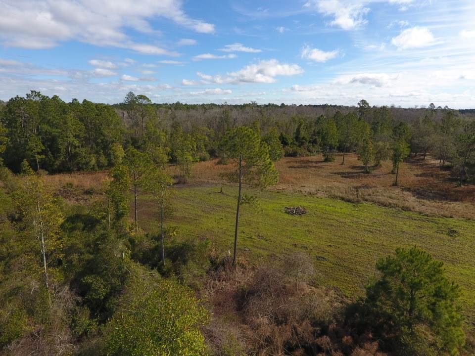 3101 Southwest Hike Lake Road Madison, FL 32340 - Photo 24 of 39 Gallery Image 24