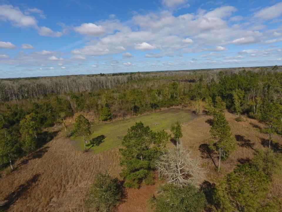 3101 Southwest Hike Lake Road Madison, FL 32340 - Photo 26 of 39 Gallery Image 26