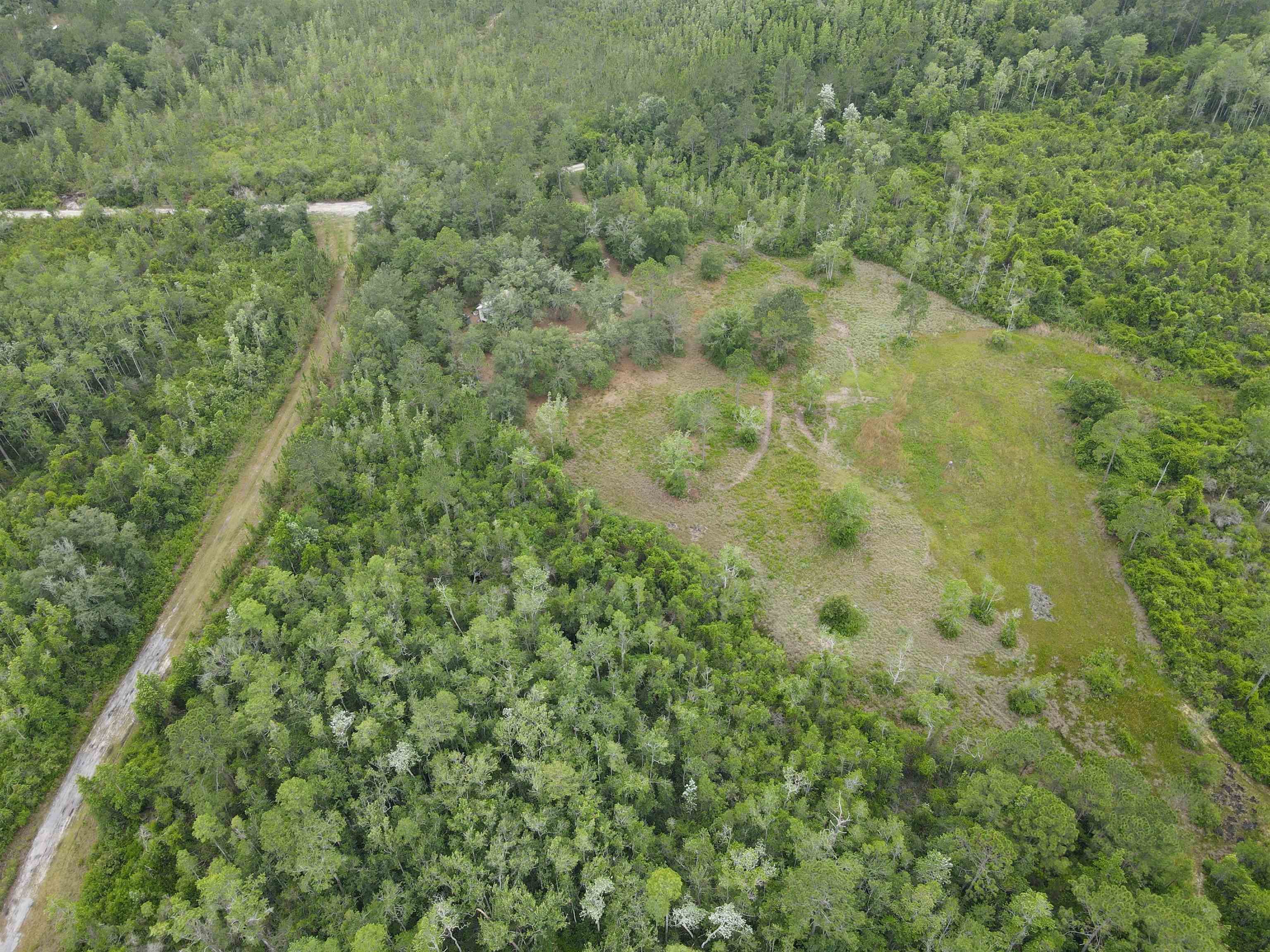 3101 Southwest Hike Lake Road Madison, FL 32340 - Photo 27 of 39 Gallery Image 27