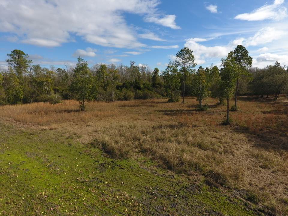 3101 Southwest Hike Lake Road Madison, FL 32340 - Photo 29 of 39 Gallery Image 29