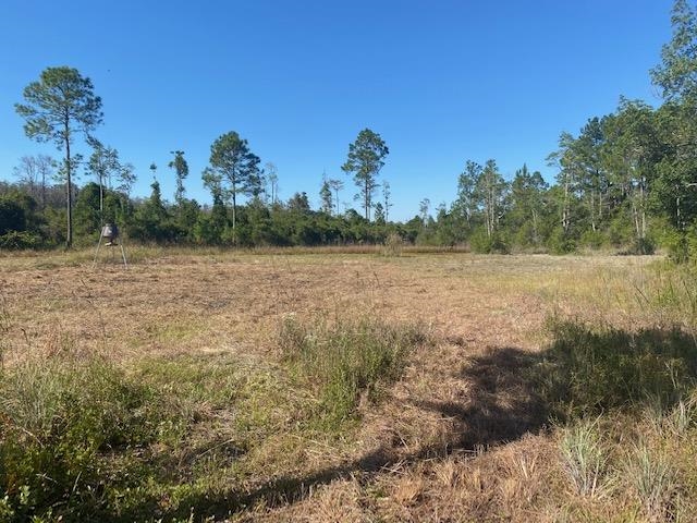 3101 Southwest Hike Lake Road Madison, FL 32340 - Photo 3 of 39 Gallery Image 3
