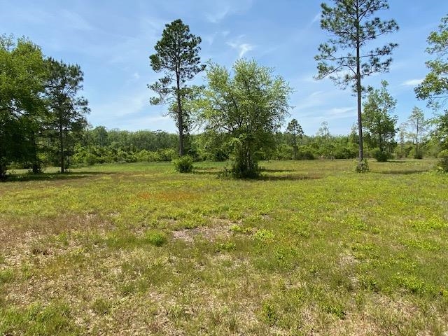 3101 Southwest Hike Lake Road Madison, FL 32340 - Photo 31 of 39 Gallery Image 31