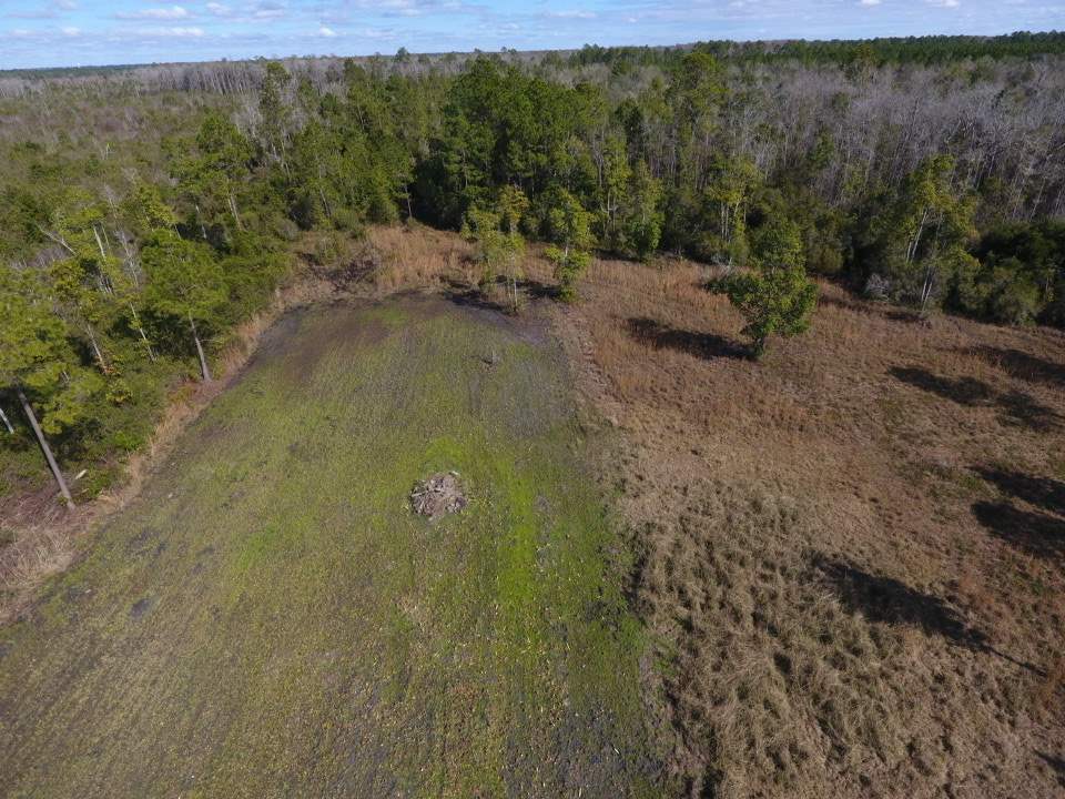 3101 Southwest Hike Lake Road Madison, FL 32340 - Photo 38 of 39 Gallery Image 38