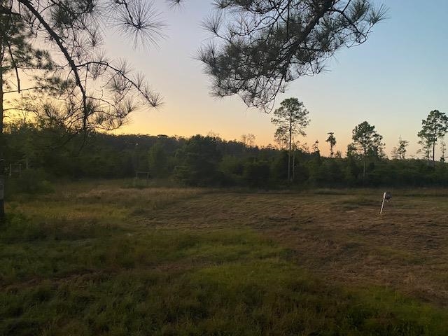 3101 Southwest Hike Lake Road Madison, FL 32340 - Photo 4 of 39 Gallery Image 4