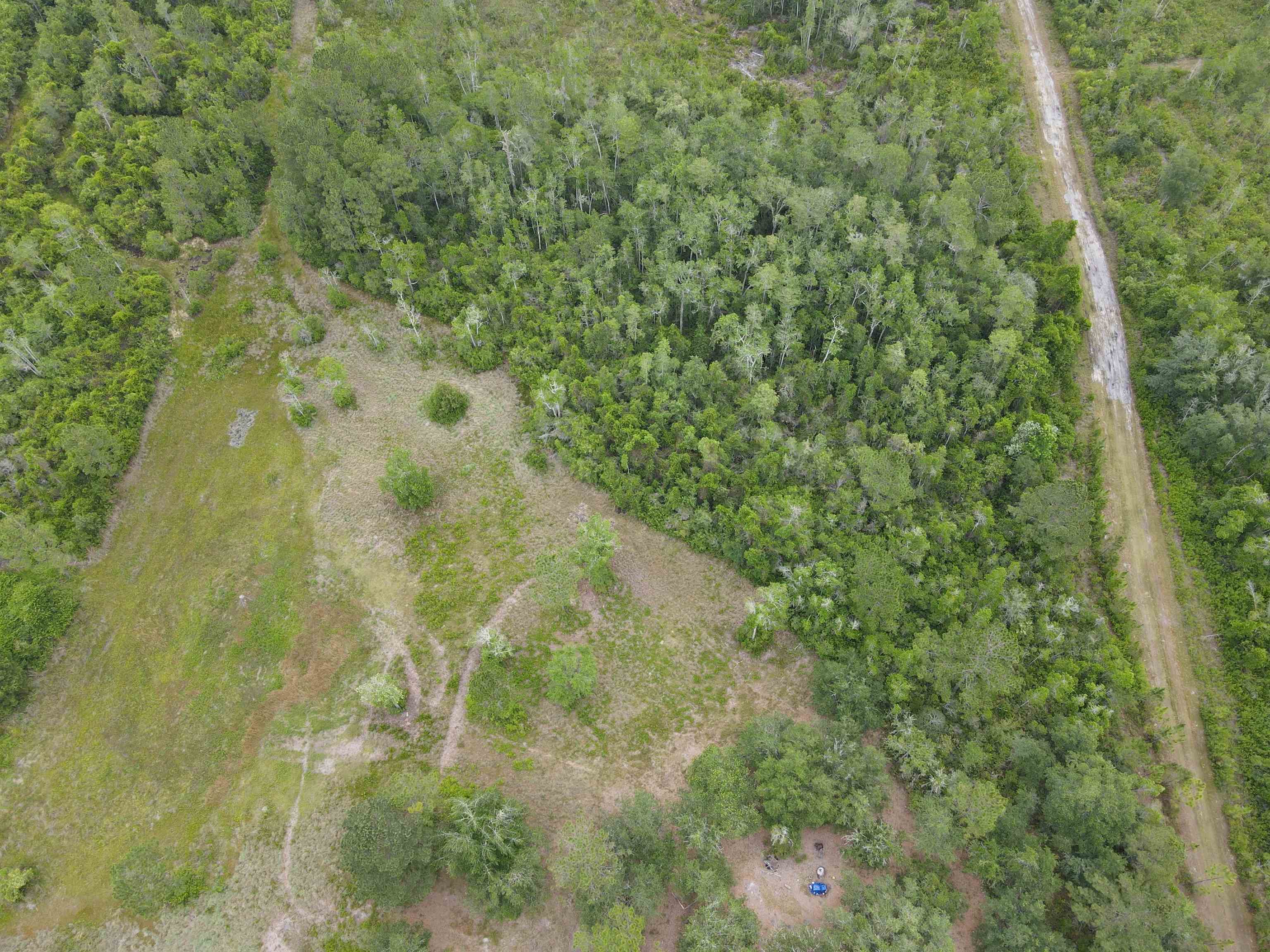 3101 Southwest Hike Lake Road Madison, FL 32340 - Photo 5 of 39 Gallery Image 5